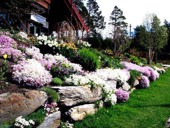 Trolltun Hotel & Hytter Dombås Exteriér fotografie